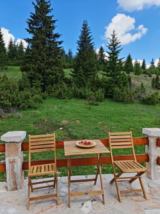 Holiday Home Mountain Žabljak Kültér fotó